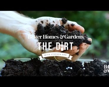 Composting for Beginners | The Dirt | Better Homes & Gardens