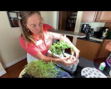 Hydroponic growing systems – part 2