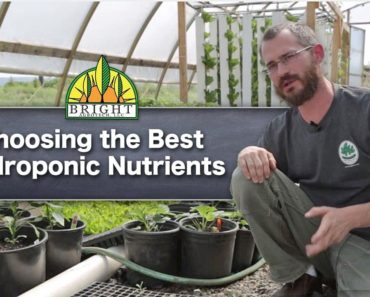The Best Hydroponic Nutrients For Your System