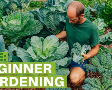 Rob Greenfield Live: Gardening for Beginners – Grow Your Own Food