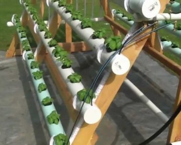 Homemade vertical (A-Frame) hydroponic system  Facebook https://www.facebook.com/greenerways