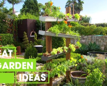 How to Make a Hydroponic Garden | Outdoor | Great Home Ideas