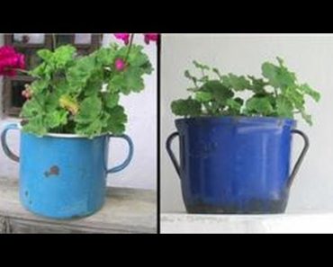 Gardening Tips : Unusual Flower Pot Design Tips & Ideas