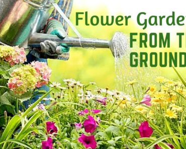 Flower Gardening from the Ground Up ???