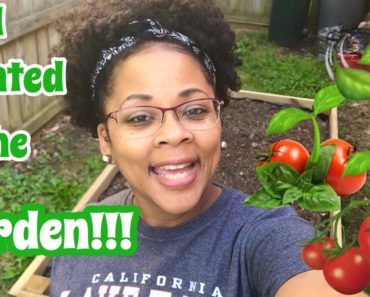 Planting A Vegetable Garden From Seeds | Organic Gardening