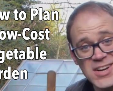 How to Plan a Low-Cost Vegetable Garden