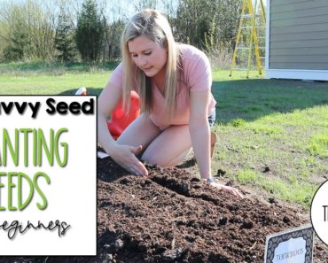 How to Plant Seeds in your Vegetable Garden, for Beginners