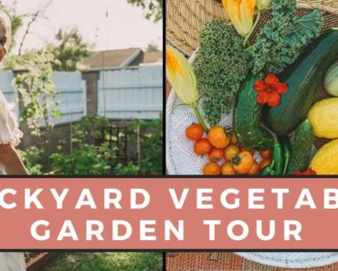 Backyard Vegetable Garden Tour | Gardening Tips