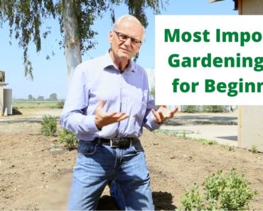 Most Important Gardening Tips for Beginners | The Most Important Tip
