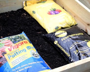 How to Start & Grow Your First Vegetable Garden E-2: An Inexpensive Way to Fill Your Garden Beds!