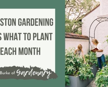 Houston Gardening Tips Learn What to Plant Each Month