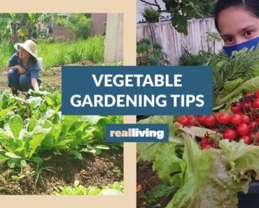 Neri Miranda Shares Vegetable Gardening Tips
