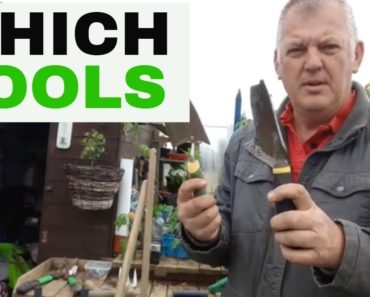 ✅ Beginners Guide – Which tools to use on the Vegetable Garden / Allotment