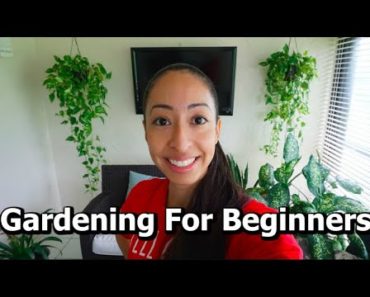 Planting Herbs And Vegetables | Repotting Plants | Gardening For Beginners | Indoor Gardening Ideas