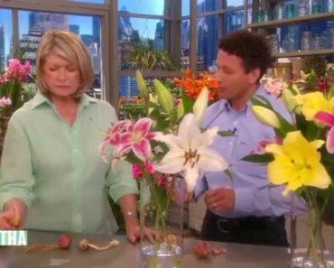 Lily Flower Arrangement Tips and Tricks – Martha Stewart