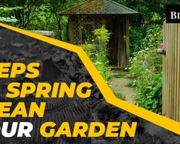 8 Spring Cleaning Tips For Your Garden – Seasonal Gardening Tips For Beginners & Experts