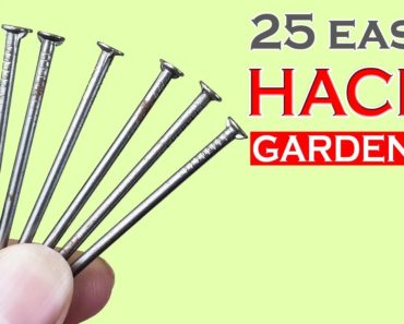 25 MIND BLOWING GARDEN HACKS: Gardening Ideas and Tips – 2018