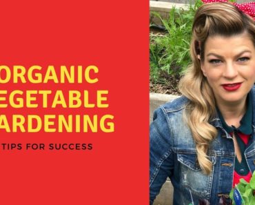 Organic Vegetable Gardening TIPS for SUCCESS // The Gardenettes