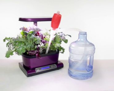 Rinse & Refill – AeroGarden Indoor Gardening Month