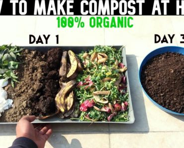 How To Make Compost At Home (WITH FULL UPDATES)