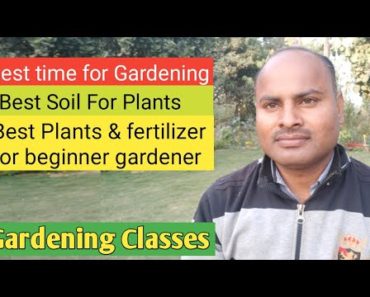 Home Gardening Tips for Beginners || Lesson – 1