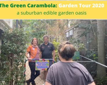 Backyard Vegetable Garden Ideas | Garden Tour 2020