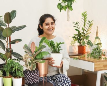 5 Air Purifying Indoor Plants for Styling Your Home|  स्टाइलिश हवा शुद्ध करने वाले पौधे
