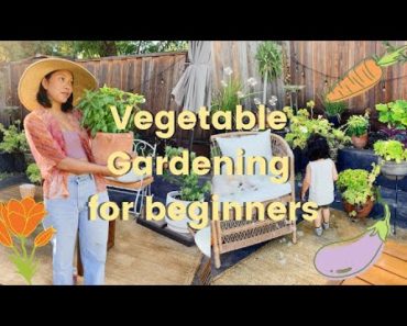 How To Start A Vegetable Garden | Gardening Tips | HellaJam