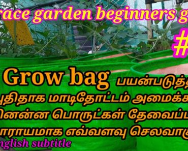 Terrace garden beginners guide with subtitle. புதிதாக சிறிய மாடிதோட்டம் அமைக்க எவ்வளவு செலவாகும்.