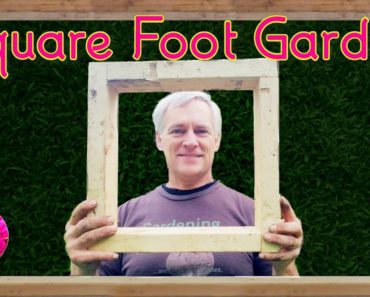 Gardening for beginners-Square Foot gardening-What is Square Foot Gardening?