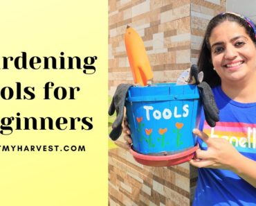 Gardening Tools for Beginners | Balcony Gardening Tools for Beginners  ????‍? GetMyHarvest