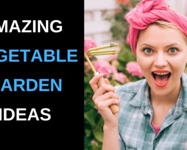 30 amazing vegetable garden ideas