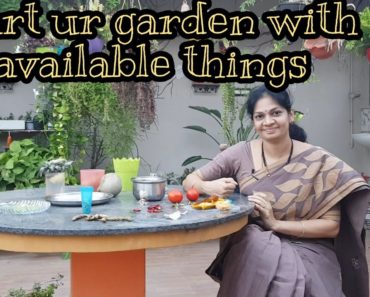 Let's start our vegetable garden with what we have/దొరికిన వాటితో మొదలుపెడదాం #vegetablegarden #tips