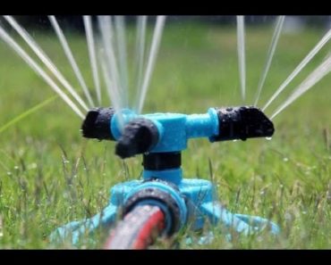 Vegetable Garden Design Ideas for Watering
