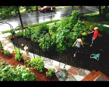 43 Front Yard Vegetable Garden Design Ideas