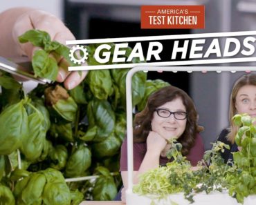 Gear Heads | Growing Fresh Herbs with Indoor Gardens