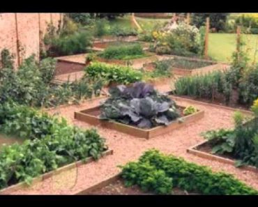DIY Backyard vegetable garden decorating ideas