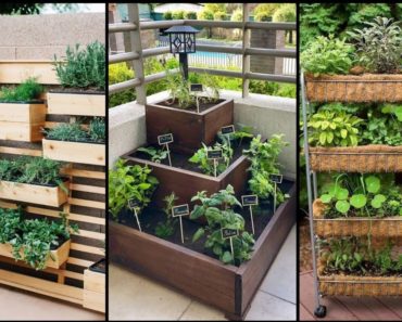 DIY Vertical Vegetable Garden Ideas | Top Easy To Grow Vegetables | Vertical Garden Ideas