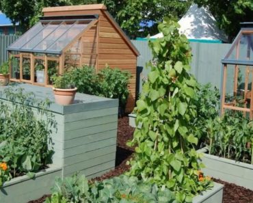 Backyard Vegetable Garden Ideas For Small Yards