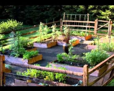 Small vegetable garden ideas