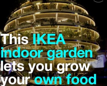 This IKEA indoor garden lets you grow your own food