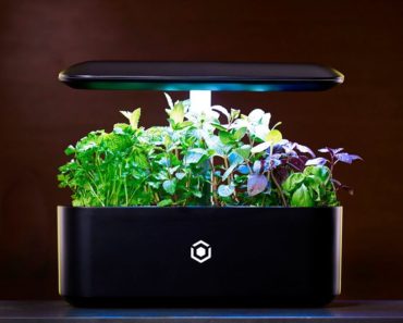 Top 5 Indoor garden technology | hydroponic system