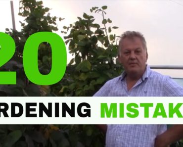 ✅ 20 Allotment Gardening Mistakes – Gardening Tips for Beginners