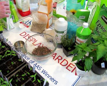 AAS Quick Gardening Tips – How To Use Soluble/Insoluble Fertilizer on Seed Starts: Beginners