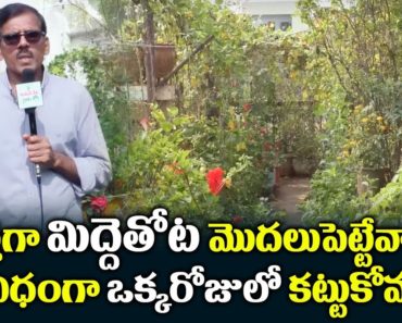 T Raghotham Reddy Tips for Terrace Garden Beginners || Summer Gardening Ideas || SumanTV Tree
