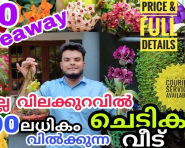 Flower Plant Home Garden Visit Kerala  | Plant Price & Full Details | Noonas Home Garden Kachinikad