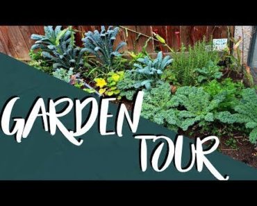 Budget Friendly Vegetable Garden Tour | VEGETABLE GARDEN FOR BEGINNERS | DIY EDIBLE GARDEN SUCCESS!