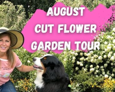 August Flower Garden Tour 2020
