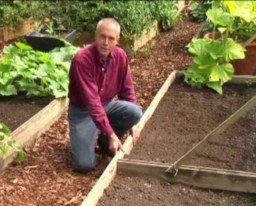 Virginia Farm Bureau-In the Garden-Raised vegetable beds