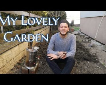 Starting My Organic Vegetable Garden some tips for growing your own food! First episode